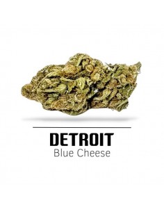 Comprar Flor Detroit CBD de Ekisele