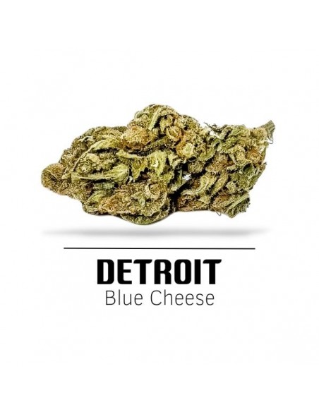 Comprar Flor Detroit CBD de Ekisele