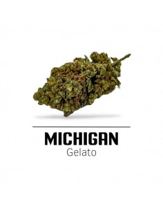 Comprar Flor Michigan CBD de Ekisele
