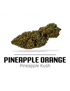 Comprar Flor Pineapple Orange CBD de Ekisele