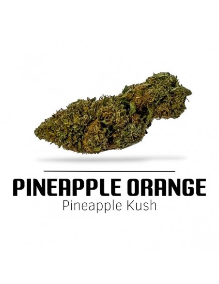 Comprar Flor Pineapple Orange CBD de Ekisele