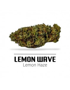 Comprar Flor Lemon Wave CBD de Ekisele