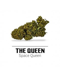 Comprar Flor The Queen CBD de Ekisele