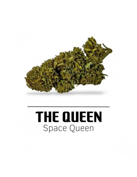 Comprar Flor The Queen CBD de Ekisele