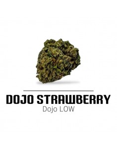 Comprar Flor Dojo Strawberry CBD de Ekisele
