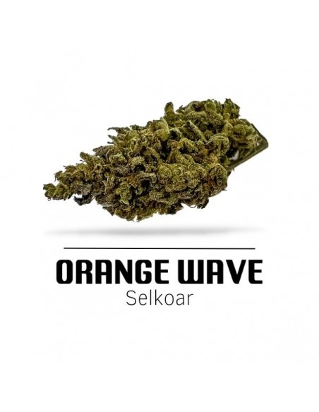 Comprar Flor Orange Wave CBD de Ekisele