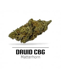 Comprar Flor Druid CBD de Ekisele