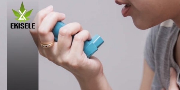 ¿Puede el CBD ayudar a los asmáticos?